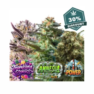 HD fem-webp - Hanf Discount HD fem.webp